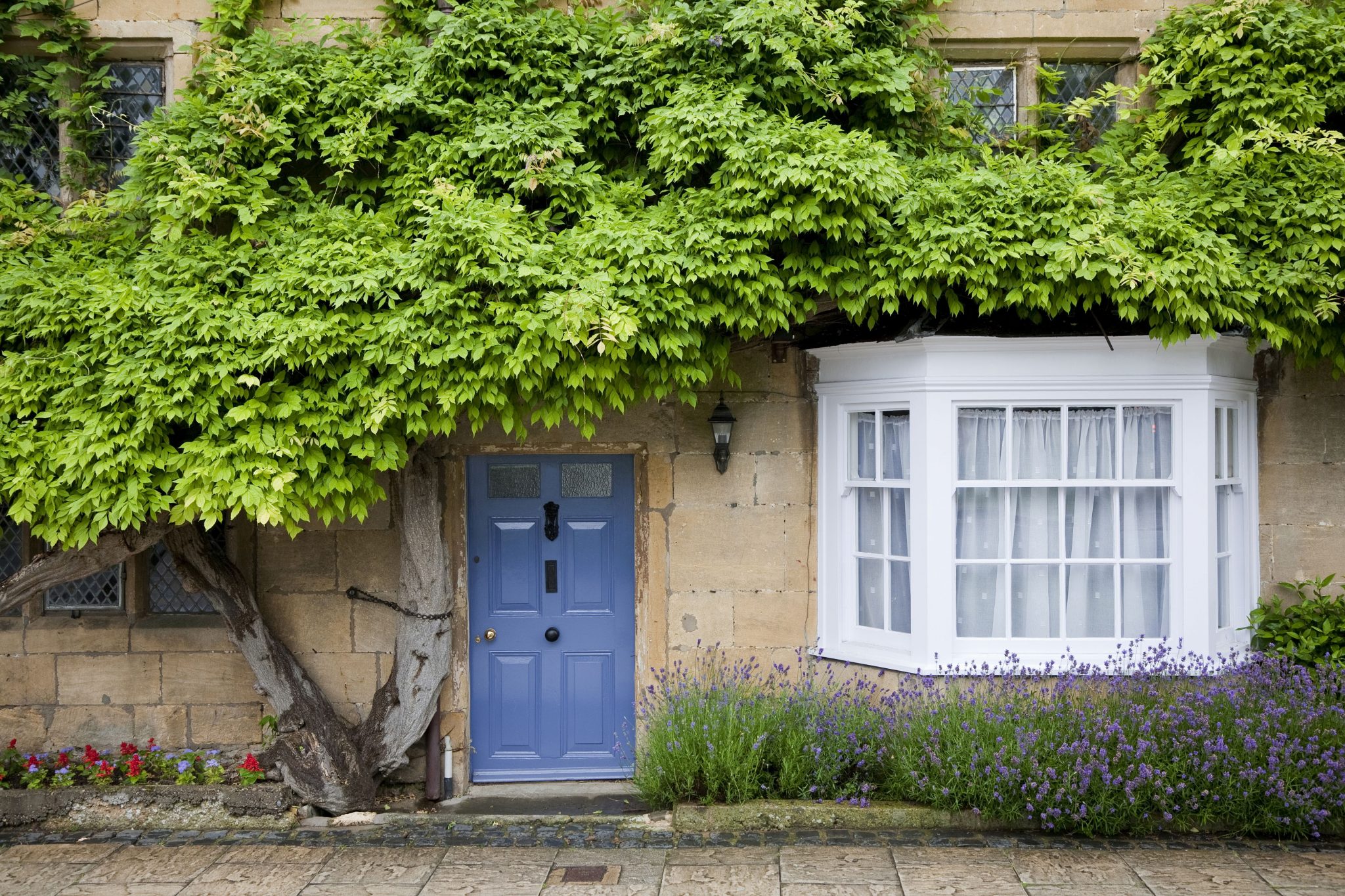 Detail of cottage facade