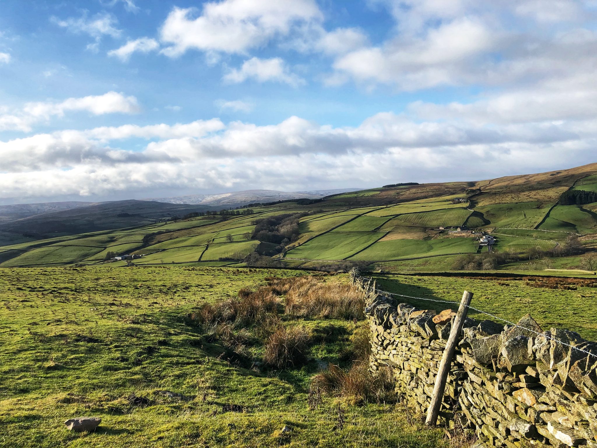 Farming land, Weardale